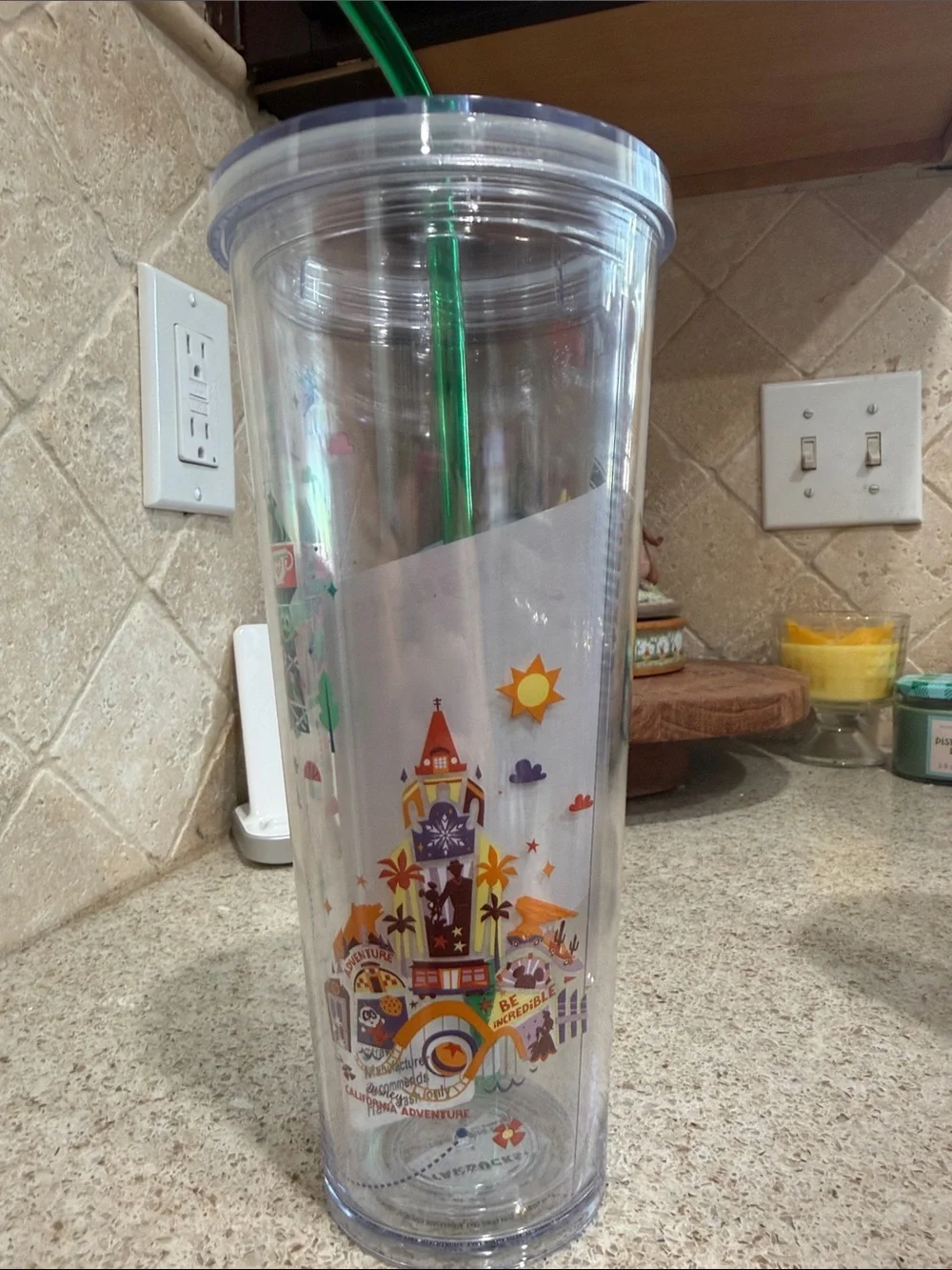 Starbucks Disneyland Resort Tumbler with Green Straw
